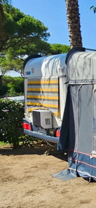 Caravana Wilk