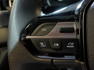 Peugeot 308 1.2PT 130CV ALLURE