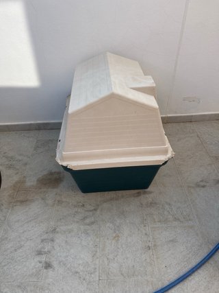 Caseta Perro Grande Plástico Beige/Verde