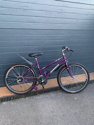 Bicicleta Urbana