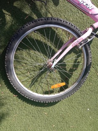 Bicicleta rosa Oregon