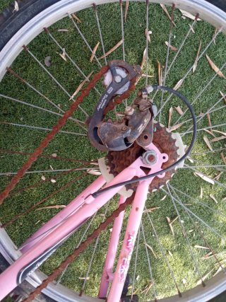 Bicicleta rosa Oregon