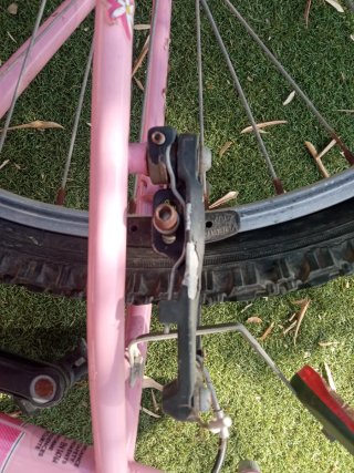 Bicicleta rosa Oregon