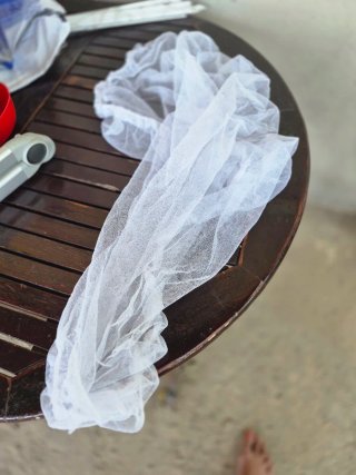 Mochila porta bebés y arnés primeros pasos, mosqui