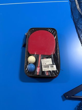 Mesa de Ping-Pong Plegable, profesional