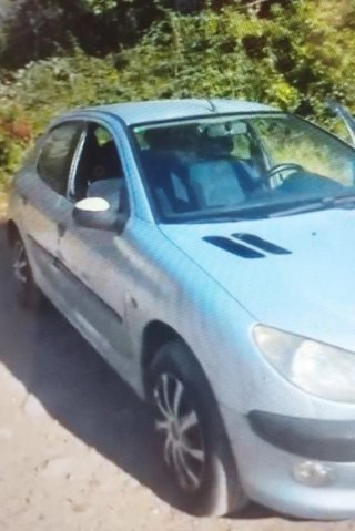 Peugeot 206 2005