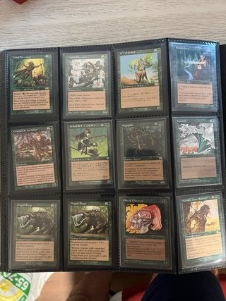 Lote de cartas Magic premodern