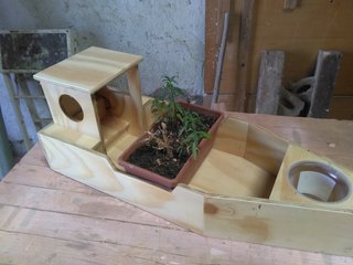 BARCO DECORATIVO