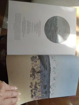La Odisea Ilustrada Miguel Brieva