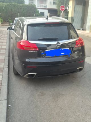 Opel Insignia 2013