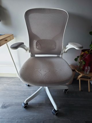 Silla de oficina ergonómica Naspaluro Gris