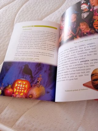 All About Festivals