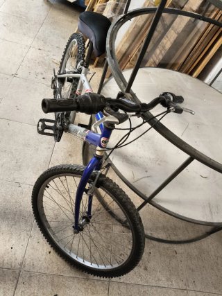 Bicicleta infantil GlobeTrotter