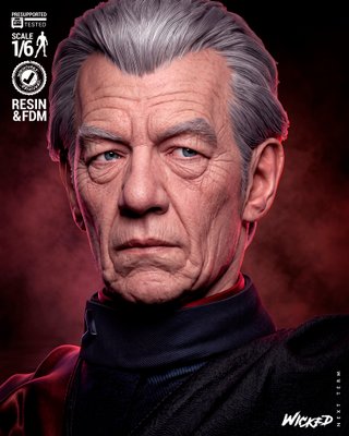 Figura Magneto Resina 1/6