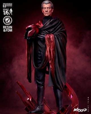 Figura Magneto Resina 1/6