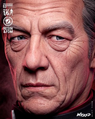 Figura Magneto Resina 1/6