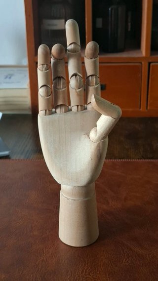 Mano articulada de madera