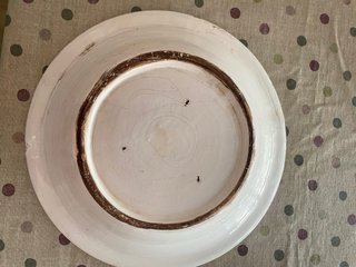 Plato hondo antiguo cerámica pintado a mano