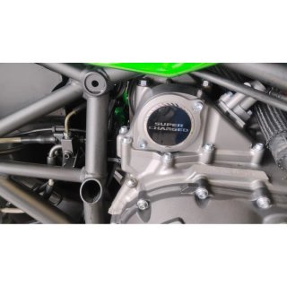 KAWASAKI Ninja H2   (2015-2023) KAWASAKI  NINJA H2 CARBON 2018 2018
