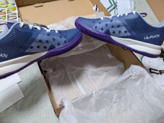 Zapatillas PADEL Wilson A ESTRENAR. VARIAS TALLAS!