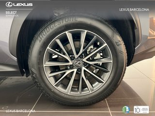 Lexus NX350h BUSINESS CITY 2022 REF 4497