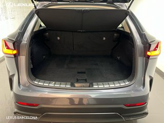 Lexus NX350h BUSINESS CITY 2022 REF 4497