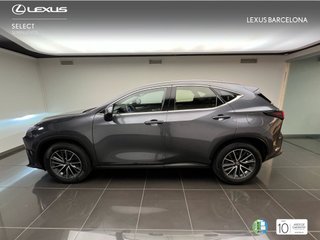 Lexus NX350h BUSINESS CITY 2022 REF 4497