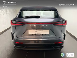 Lexus NX350h BUSINESS CITY 2022 REF 4497