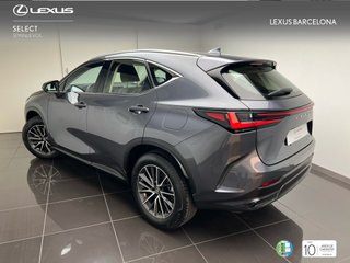 Lexus NX350h BUSINESS CITY 2022 REF 4497