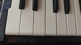 Acordeón Hohner Arietta M