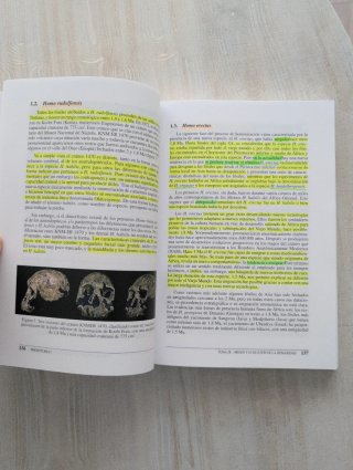 Prehistoria I Las primeras etapas de la humanidad