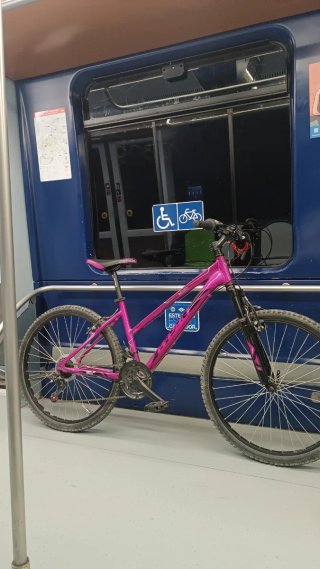 Bicicleta guinda