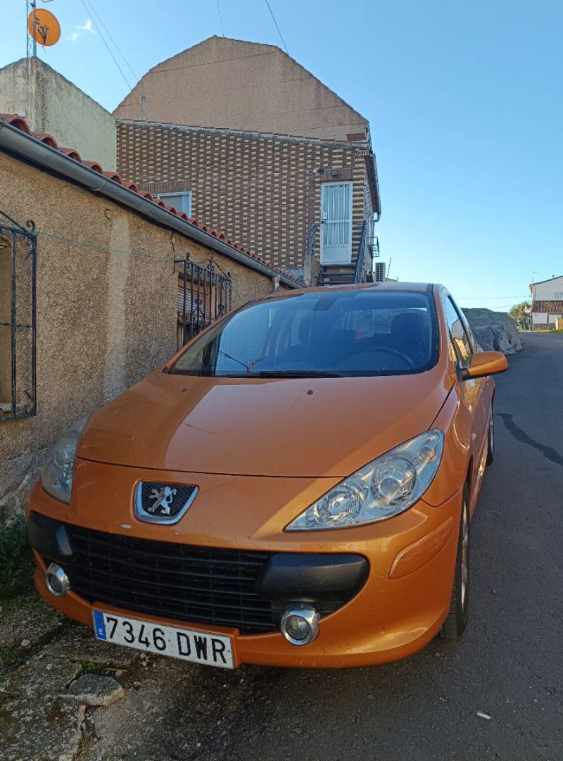 Peugeot 307 2006 - foto 1