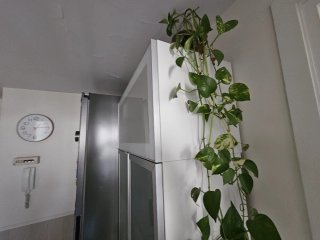 Mueble vajilla y cristalera