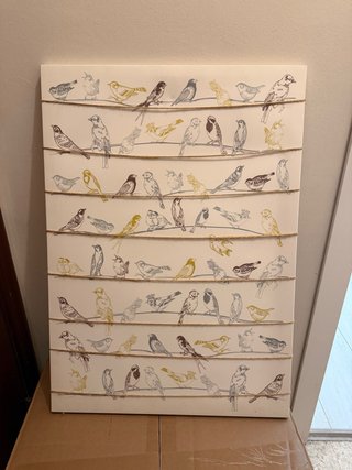 Cuadro pájaros sobre cuerda