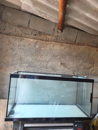 Acuario 200L