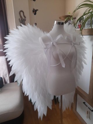 Alas de Ángel Blancas