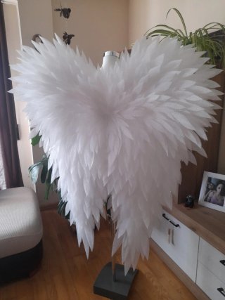 Alas de Ángel Blancas
