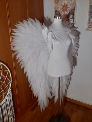 Alas de Ángel Blancas