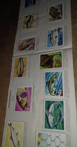 Album Cromos Ciencia y Arte Completo