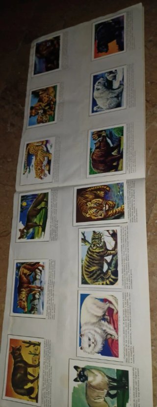 Album Cromos Ciencia y Arte Completo