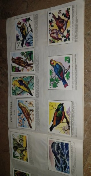 Album Cromos Ciencia y Arte Completo