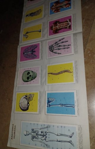 Album Cromos Ciencia y Arte Completo