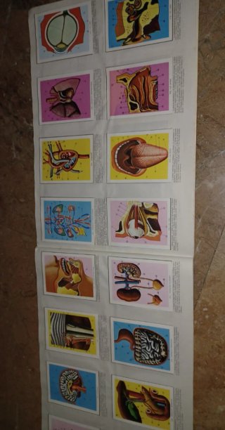 Album Cromos Ciencia y Arte Completo