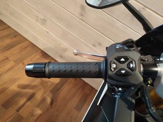 Aprilia RS 660