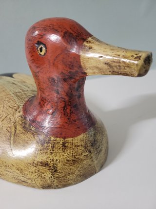 Pato señuelo madera Aythya americana mod.5