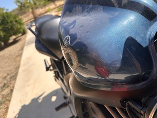 Yamaha FZ6 600 Naked 2008 por falta de uso