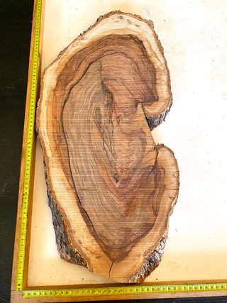 Tabla Madera Olivo Milenario para Resina