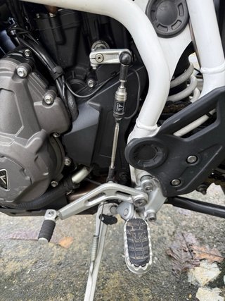Triumph Tiger 900 Rally Verde/Blanco