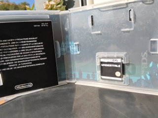 Undertale Nintendo DS RPG